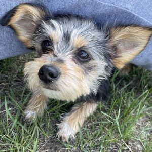 Meet your Posher, Janna